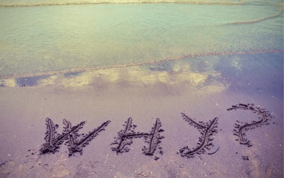 The Power of ‘Why?’